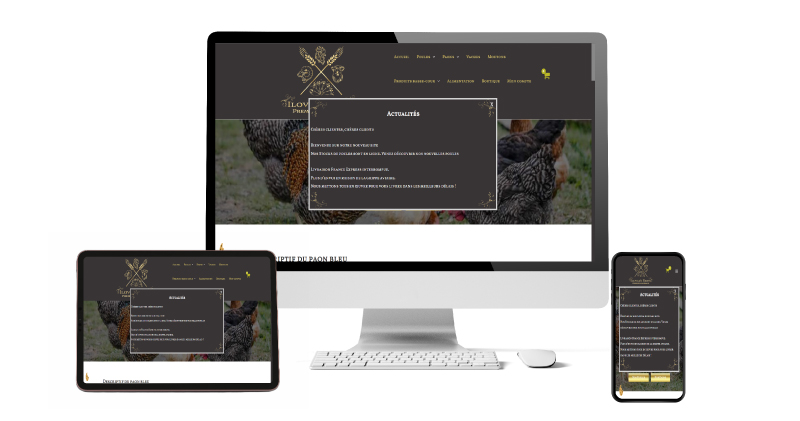conception web et design d'un site e-commerce By Full Development